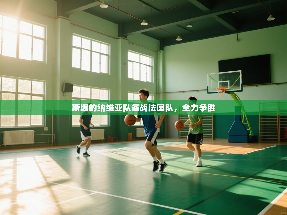 开云体育实名认证入口-斯堪的纳维亚队备战法国队，全力争胜  第4张