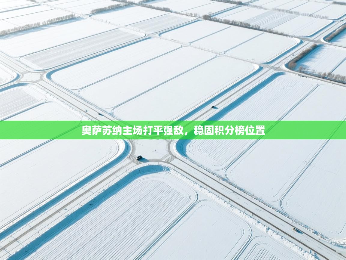 开云APP-奥萨苏纳主场打平强敌，稳固积分榜位置  第2张