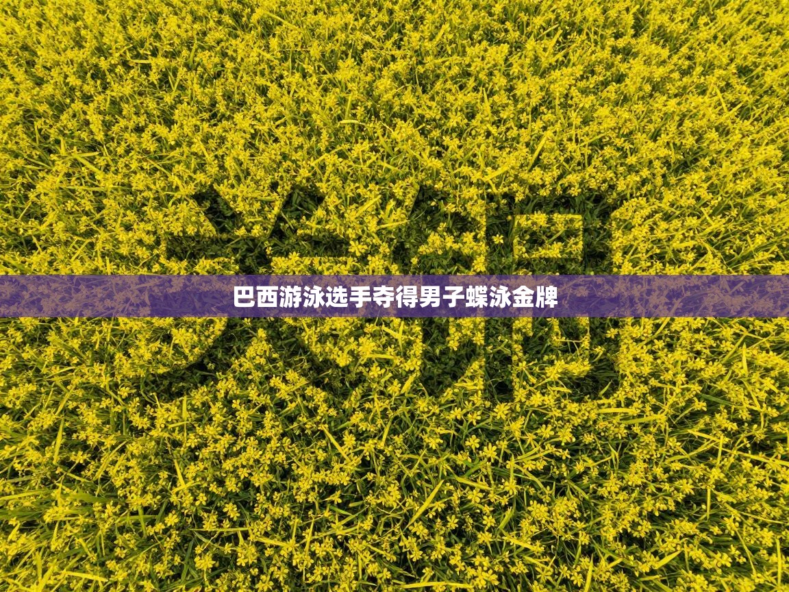 开云体育网络异常修复-巴西游泳选手夺得男子蝶泳金牌  第1张