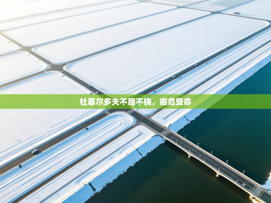 开云体育消息订阅关闭-杜塞尔多夫不屈不挠，临危受命  第1张