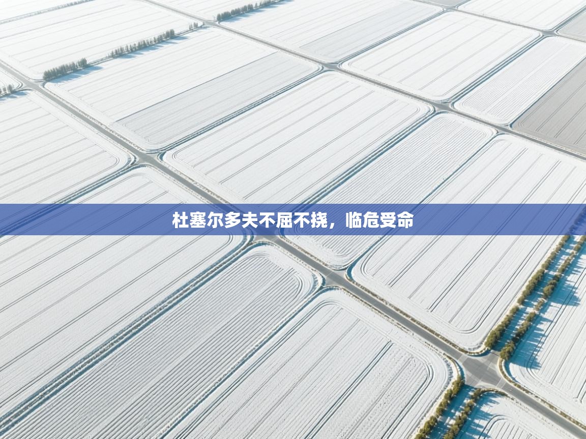 开云体育消息订阅关闭-杜塞尔多夫不屈不挠，临危受命  第2张