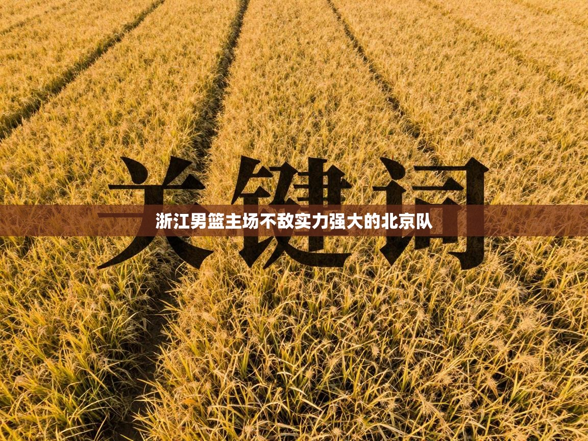 -浙江男篮主场不敌实力强大的北京队  第1张