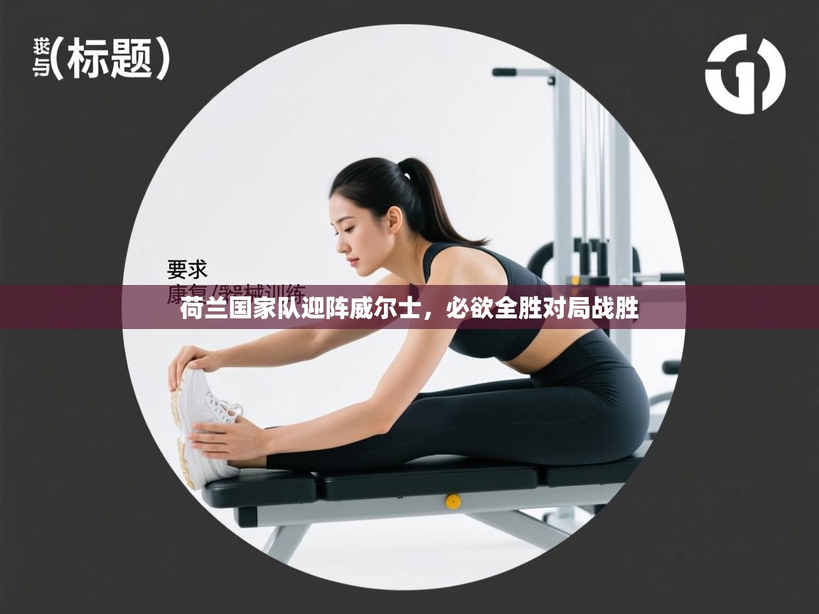 开云体育app官网入口-荷兰国家队迎阵威尔士,必欲全胜对局战胜 第4张